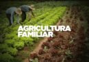 Programa Municipal Incentiva Servidores a Valorizarem a Agricultura Familiar em Alta Floresta
