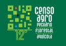 IBGE abre 148 vagas em 16 municípios de Rondônia para o 12º Censo Agropecuário
